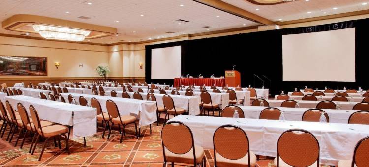 Holiday Inn 旧金山金色大道假日酒店(Holiday Inn San Francisco-Golden Gateway)图片