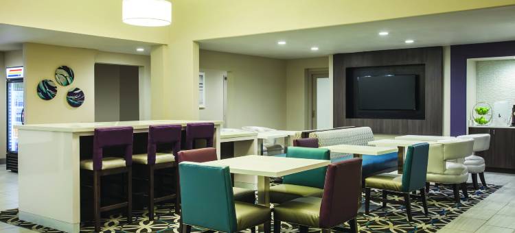 拉斯维加斯内利斯拉昆塔温德姆酒店(La Quinta Inn & Suites by Wyndham Las Vegas Nellis)图片