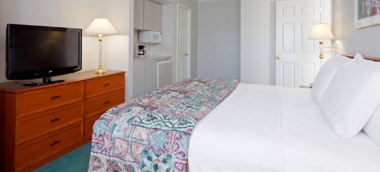 刘易斯维尔拉昆塔温德姆套房酒店(La Quinta by Wyndham Dallas Lewisville)图片