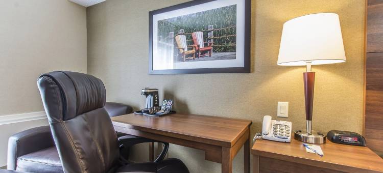 舒适酒店(Comfort Inn)图片