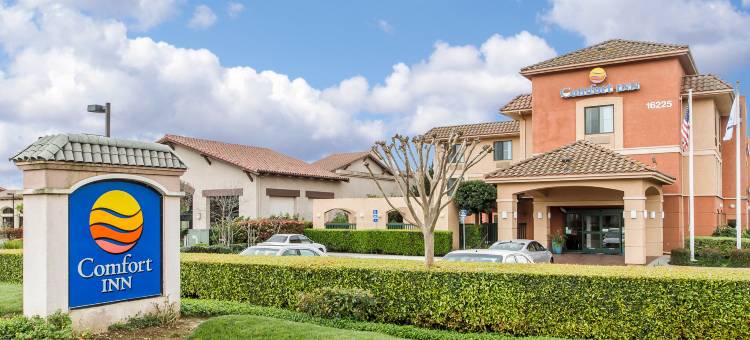 酒店(舒适酒店South San Jose / 摩根山)(Comfort Inn South San Jose - Morgan Hill)图片