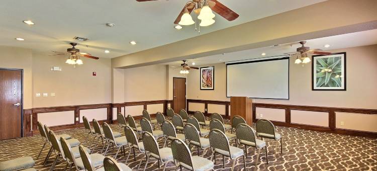 舒适酒店-爱丁堡南(Comfort Inn Edinburg South)图片