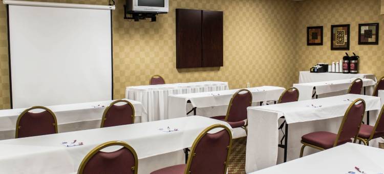 摄政公园舒适套房酒店(Comfort Suites Regency Park)图片