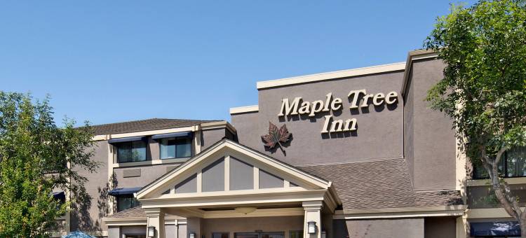 枫树酒店(Maple Tree Inn)图片