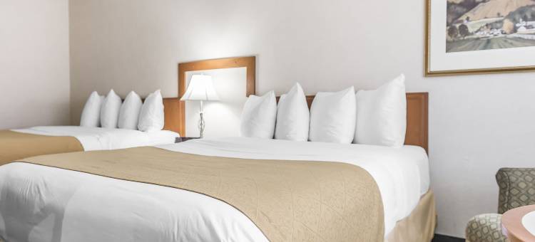 加蒂诺品质套房会议酒店(Quality Inn & Suites)图片