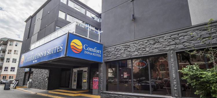 舒适酒店及套房(Comfort Inn & Suites)图片