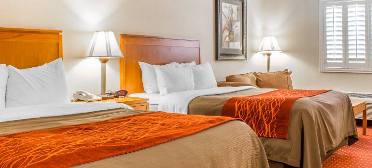 萨福德贝斯特韦斯特优质酒店(Best Western Plus Safford)图片