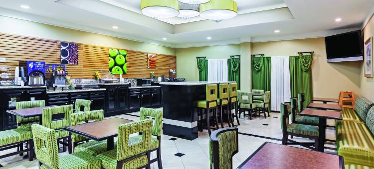 皮尔兰拉昆塔温德姆套房酒店(La Quinta Inn & Suites by Wyndham Pearland - Houston South)图片