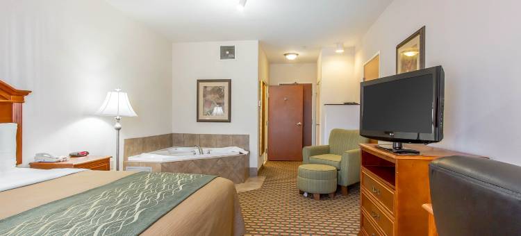 诺曼大学附近舒适套房酒店(Comfort Inn & Suites Norman Near University)图片