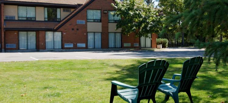 舒适酒店(Comfort Inn)图片