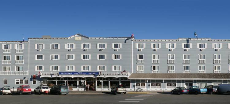 淘金贝斯特韦斯特酒店(Best Western Gold Rush Inn)图片