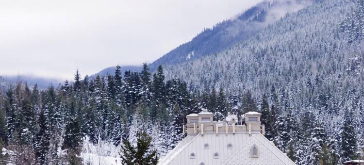 惠斯勒山泛太平洋度假村(Pan Pacific Whistler Mountainside)图片
