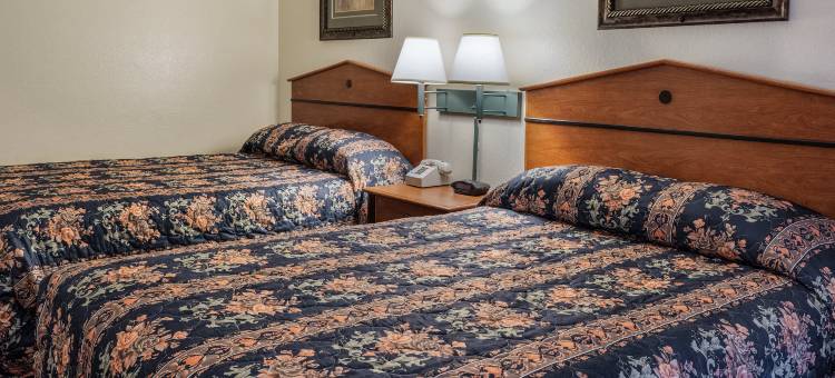 诺福克希尔顿 Spark 酒店(Spark by Hilton Norfolk)图片