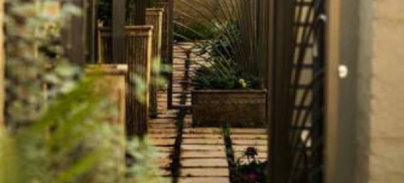 Mavuta Boutique Apartments图片