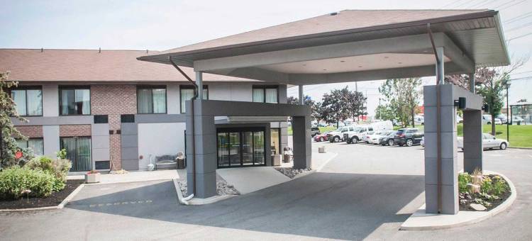 舒适酒店机场西(Comfort Inn Airport West)图片