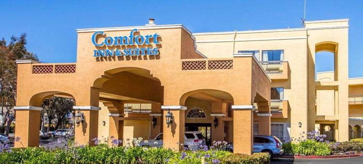 旧金山机场北舒适套房酒店(Comfort Inn & Suites San Francisco Airport North)图片