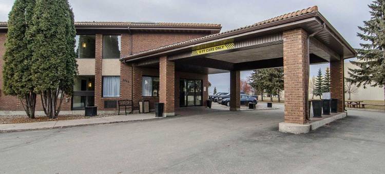 舒适酒店(Comfort Inn)图片