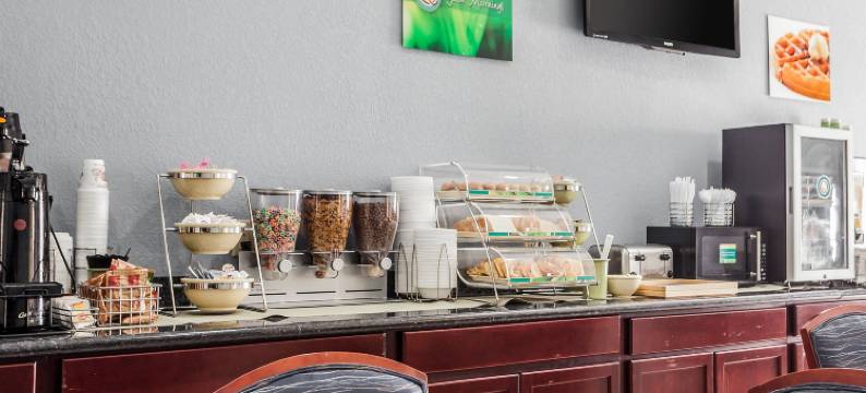 品质酒店及套房-阿尔图纳-得梅因(Quality Inn & Suites Altoona - des Moines)图片