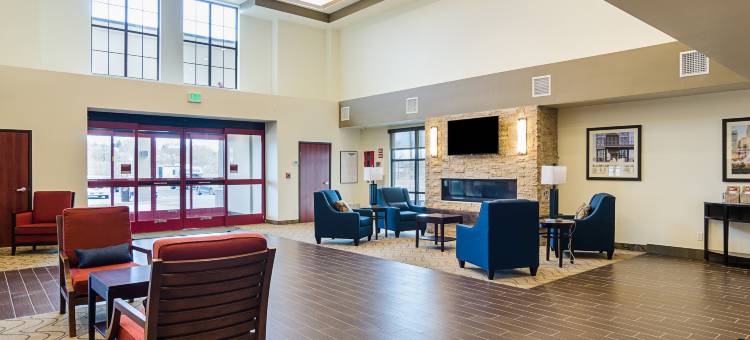 美茵斯坦套房酒店-近丹佛市区(MainStay Suites Near Denver Downtown)图片