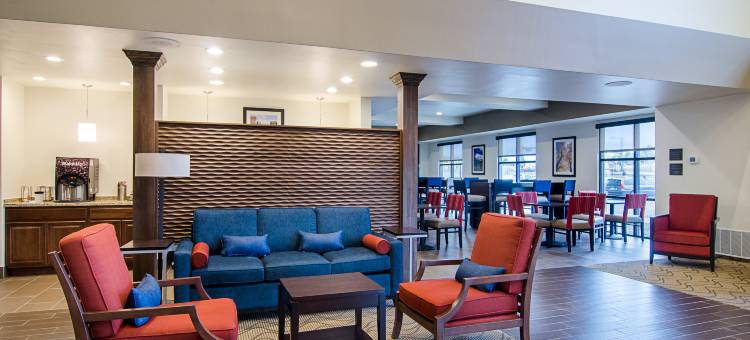 舒适套房酒店-近丹佛市区(Comfort Suites Near Denver Downtown)图片