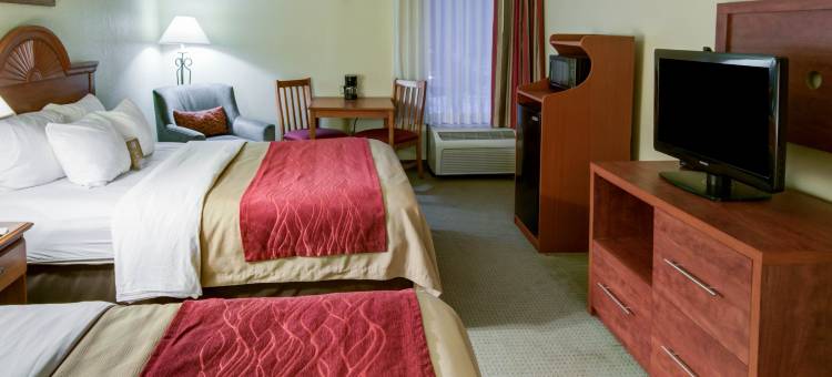 舒适酒店客栈松树林I-81赫尔希地区(Comfort Inn Pine Grove I-81 Hershey Area)图片