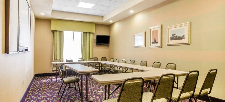 纳什维尔舒适套房酒店(Comfort Suites)图片