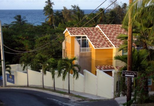 Beautiful Villa at Sandy Beach, Rincon Hotel Overview