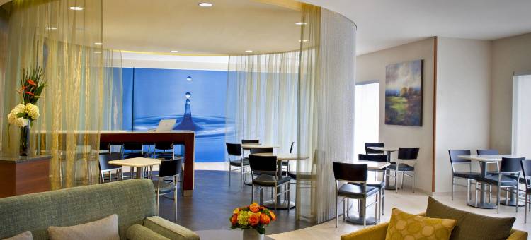 长岛布莱克海文万豪SpringHill酒店(SpringHill Suites Long Island Brookhaven)图片