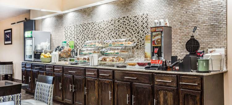 品质酒店及套房-机场(Quality Inn & Suites Airport)图片