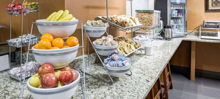 堪萨斯城利伯蒂舒适套房酒店(Comfort Suites Kansas City-Liberty)图片