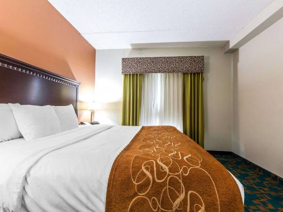 Comfort Suites Knoxville West Farragut Hotel Reviews And Room