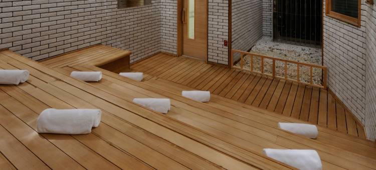 札幌艾米西亚酒店(Hotel Emisia Sapporo)图片