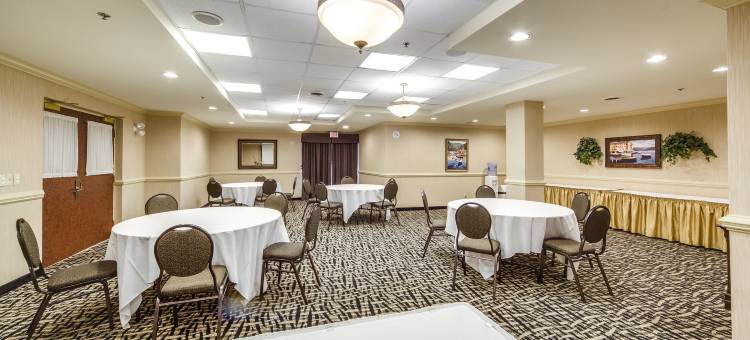 蒙地卡罗布兰普顿旅馆(Monte Carlo Inn Brampton)图片