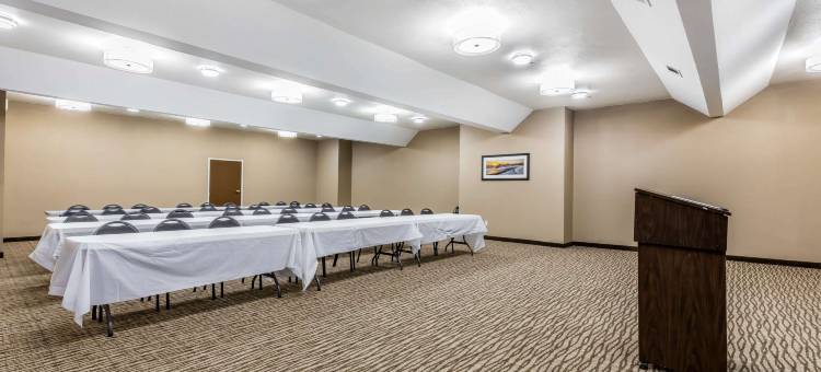 克里斯托运动中心舒适套房酒店(Comfort Inn & Suites Crystal Inn Sportsplex)图片