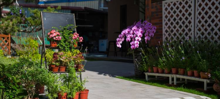 花莲堤米亚民宿图片