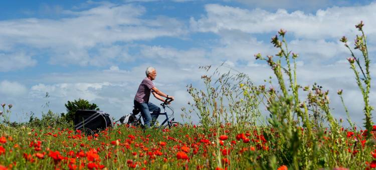 DORMERO 酒店科堡(Dormero Hotel Coburg)图片