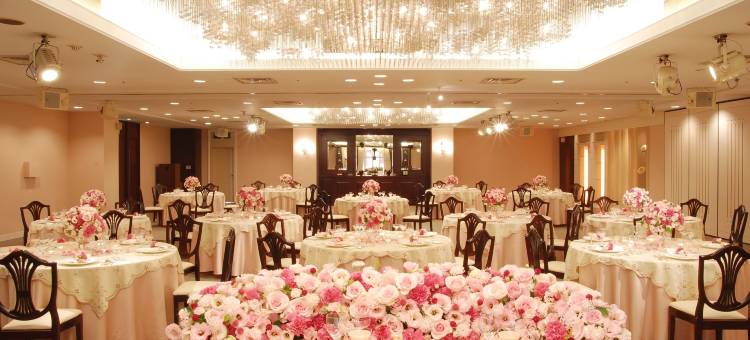 东京立川艾米西亚酒店(Hotel Emisia Tokyo Tachikawa)图片
