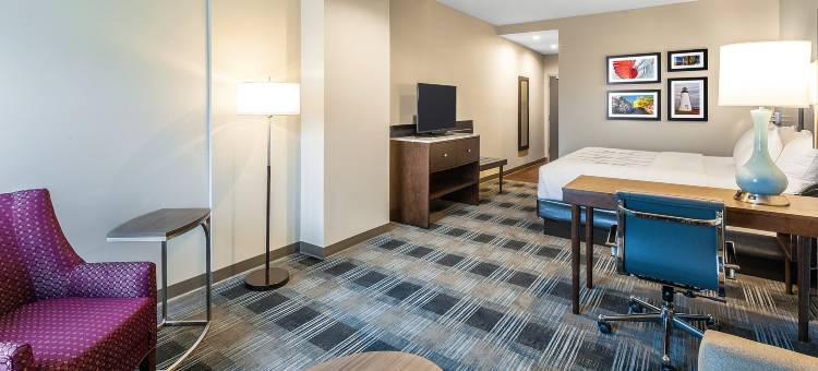 阿伯丁APG拉昆塔温德姆套房酒店(La Quinta Inn & Suites by Wyndham Aberdeen-Apg)图片