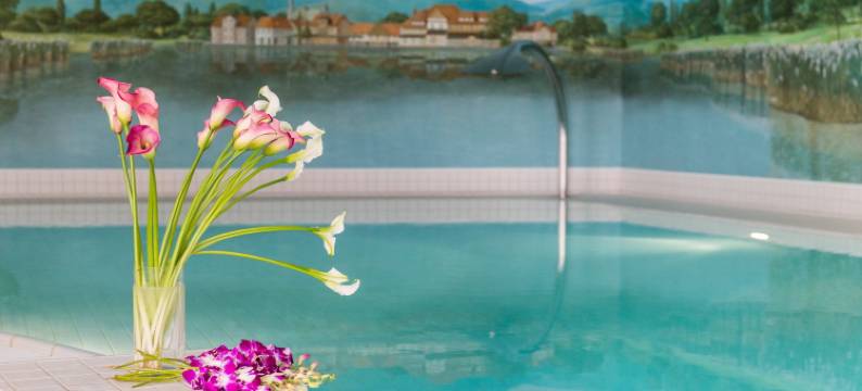 德恩罗塞恩弗勒伦乡村之家酒店(Landhaus Zu Den Rothen Forellen)图片