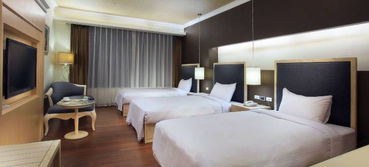 南投埔里今埔里渡假大酒店图片