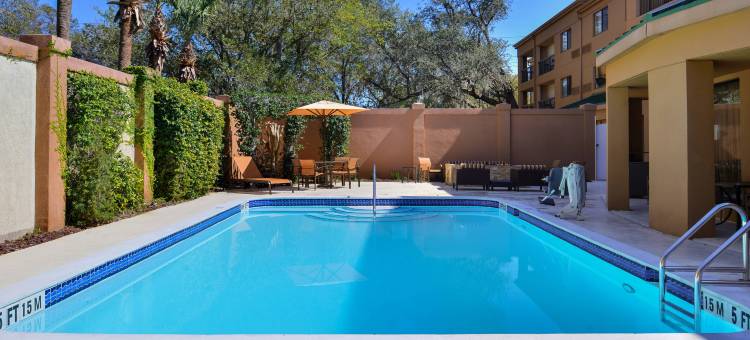 坦帕北弗莱彻I-75万怡酒店(Courtyard Tampa North/I-75 Fletcher)图片