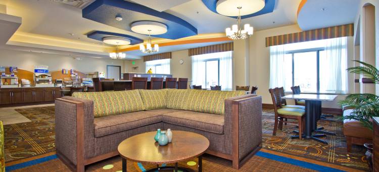 智选假日套房酒店丹佛芮(Holiday Inn Express & Suites Denver East-Peoria Street)图片