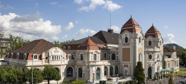 巴德诺因阿施柏阁酒店(Steigenberger Hotel Bad Neuenahr)图片