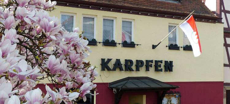 祖姆卡尔普芬酒店及餐厅(Hotel & Restaurant Zum Karpfen)图片