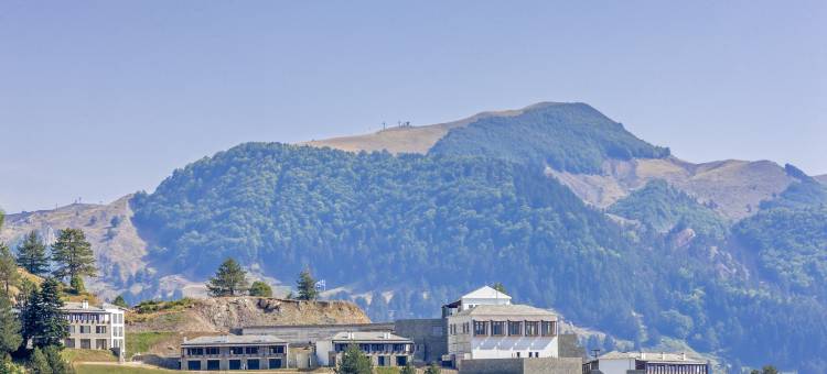林大迈措翁大酒店(Grand Forest Metsovo - Leading Hotels of the World)图片