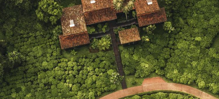 纽恩威之家(One&Only Nyungwe House)图片