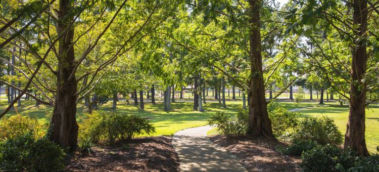 威廉斯堡Residence Inn 酒店(Residence Inn Williamsburg)图片