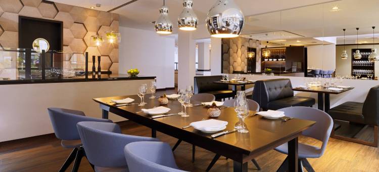 法兰克福艾美度假酒店(Le Méridien Frankfurt)图片