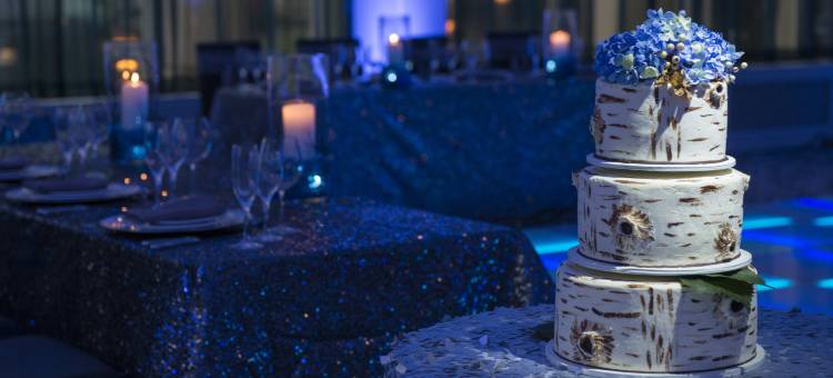 明尼阿波利斯西南万豪酒店(Minneapolis Marriott Southwest)图片