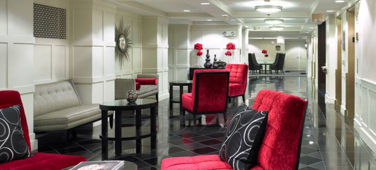 芝加哥沃里克阿勒顿酒店(Warwick Allerton Chicago)图片